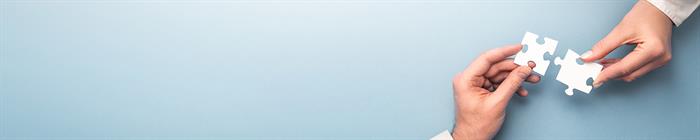 Strategic Partner Strategic Partner