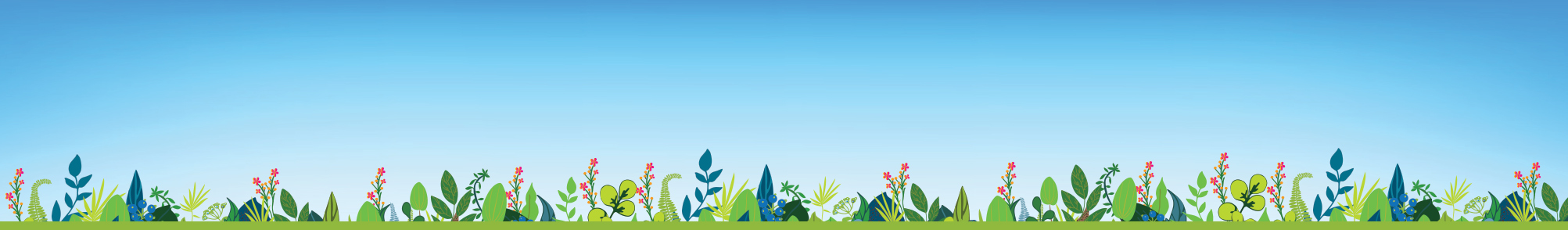 Early-Education-Web-Page-Header-Application-Form Early-Education-Web-Page-Header-Application-Form