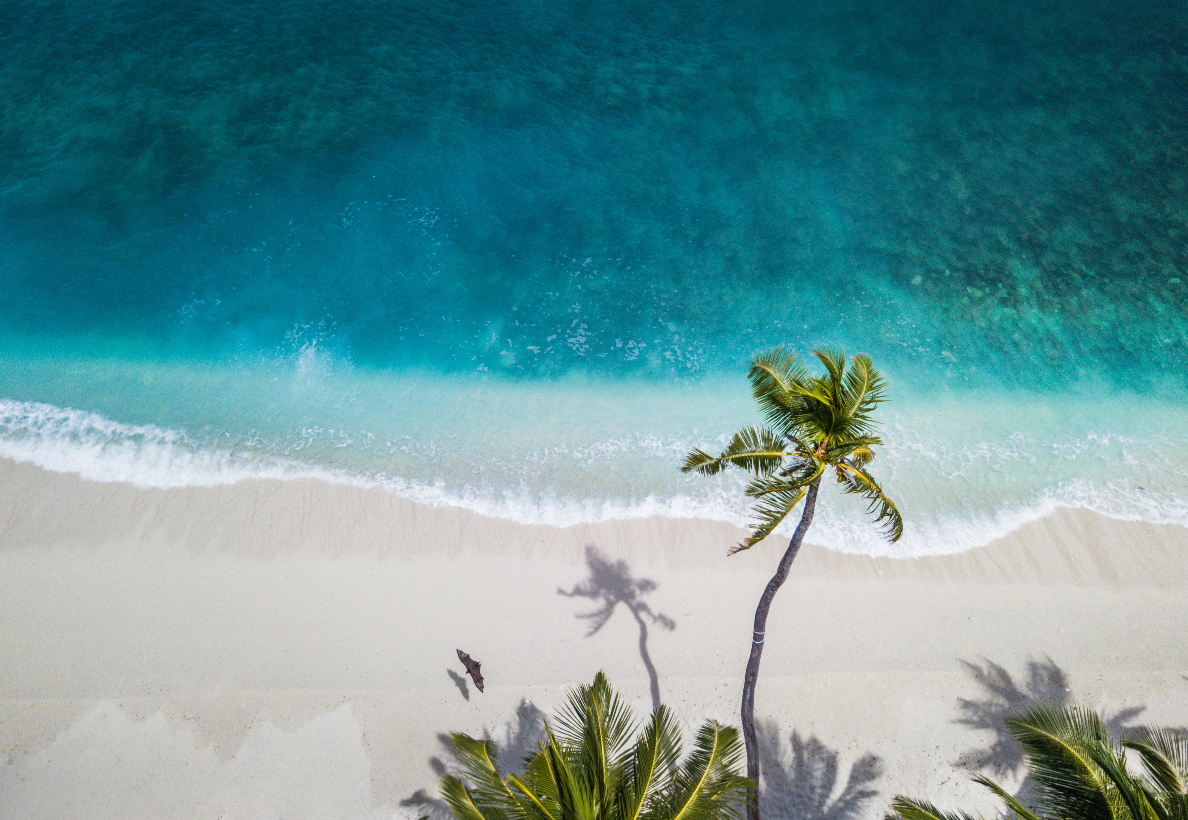 nattu-adnan-atSUvc1hMwk-unsplash nattu-adnan-atSUvc1hMwk-unsplash
