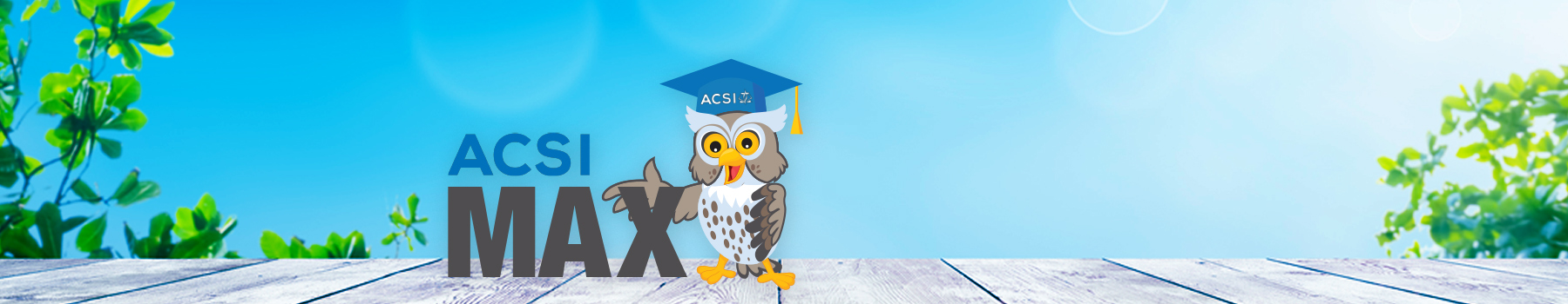 ACSI-Max ACSI-Max