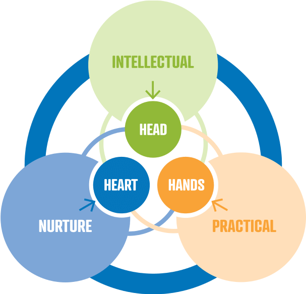 FFI Diagram