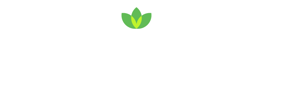 Flourishing School Culture