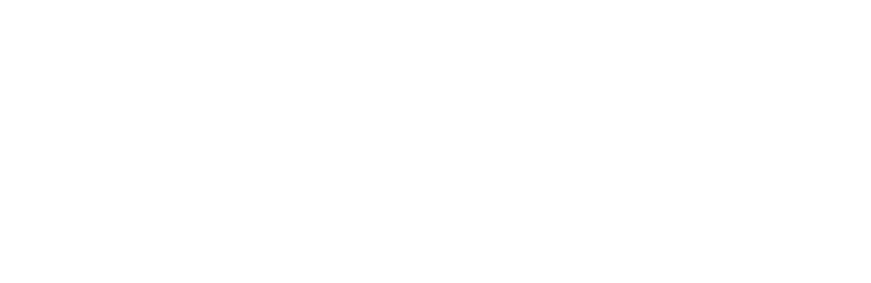 Flourishing School Culture